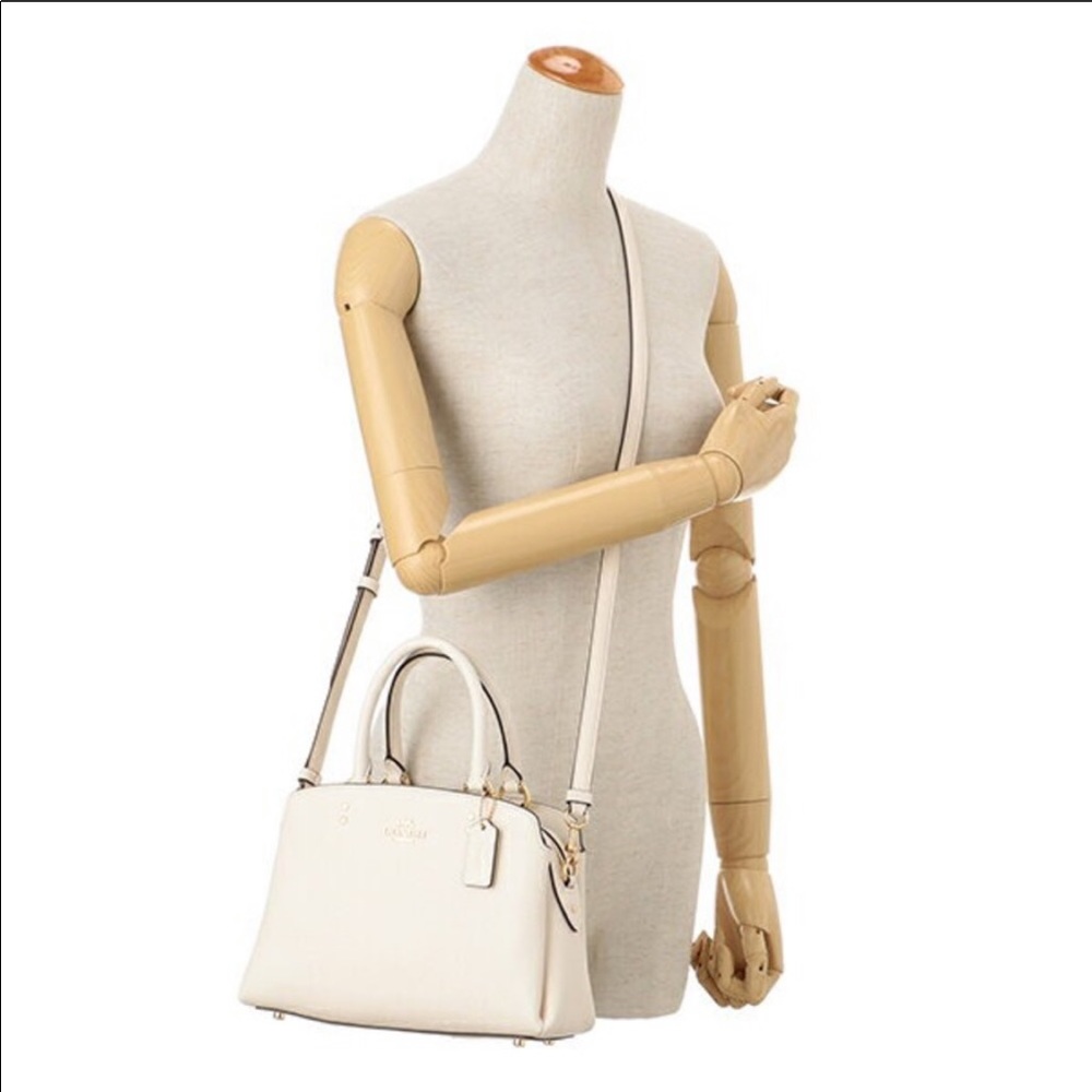 Coach Lillie Carryall
